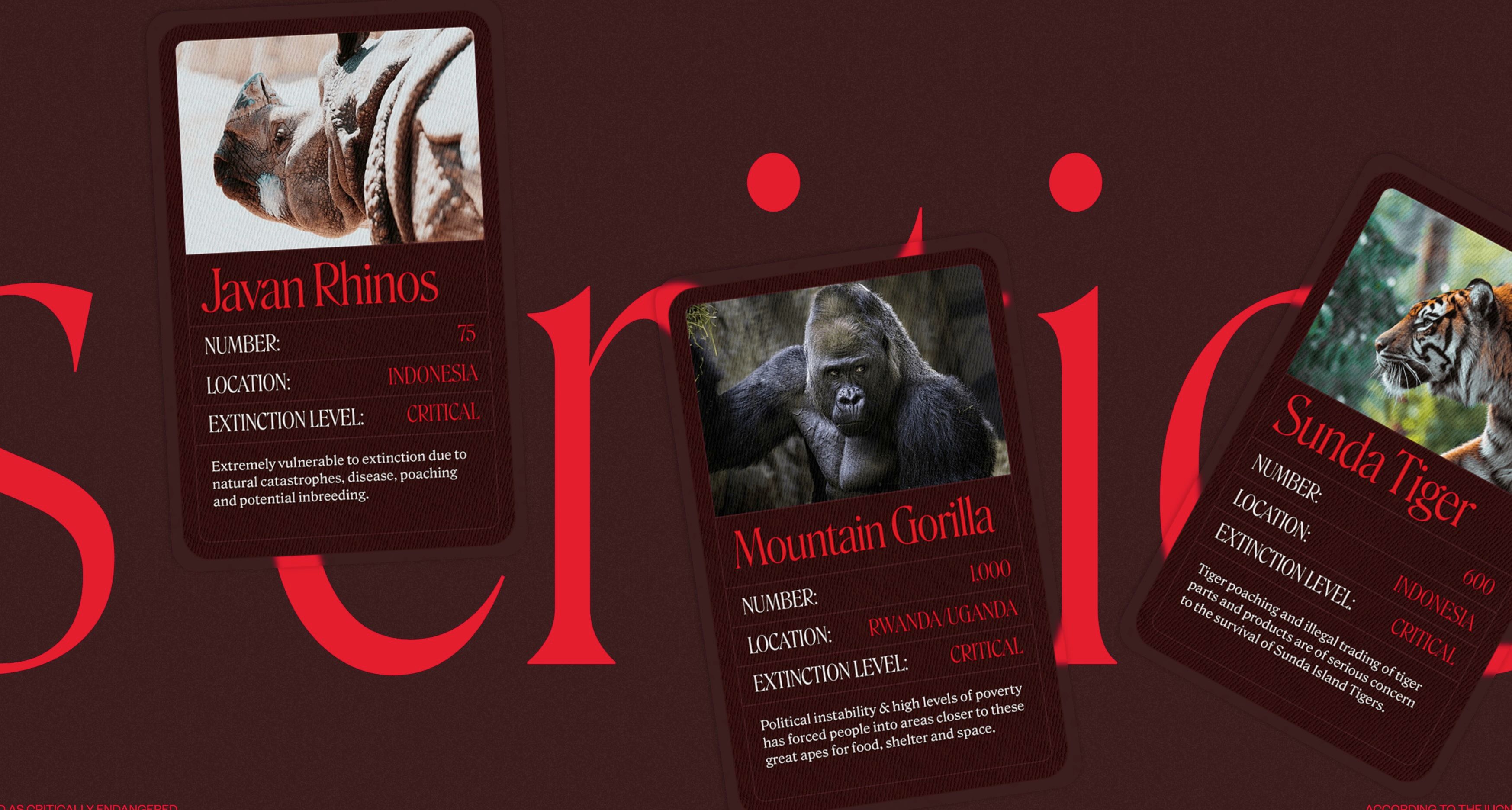 screenshot of critical danger website which is one of the most modern websites